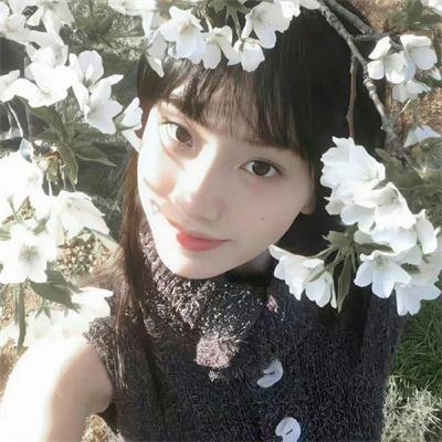 杜宾巡官：布列塔尼的呼唤